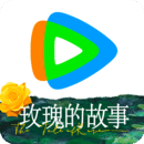 高跟鞋图片